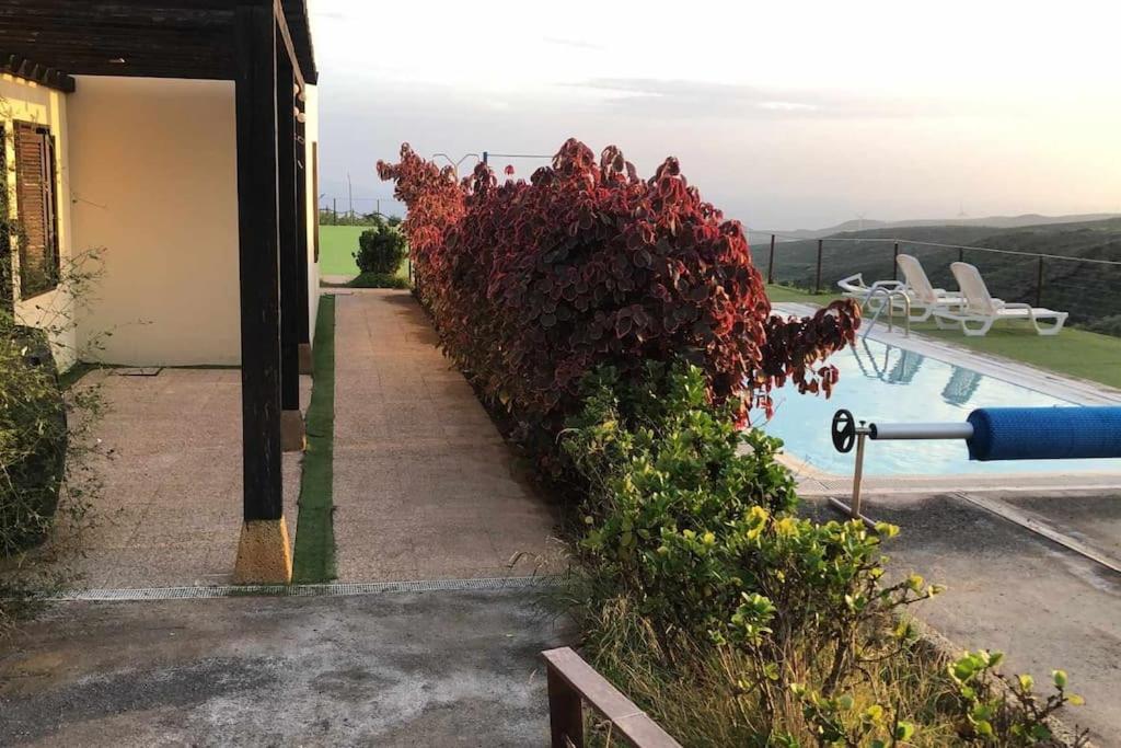 Con Vistas Maravillosas En Arico *