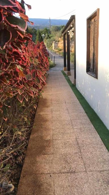 Holiday home Con Vistas Maravillosas En Arico Sabina Alta